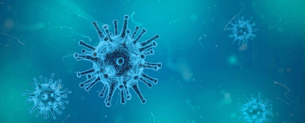 decorative image representing the influenza virus